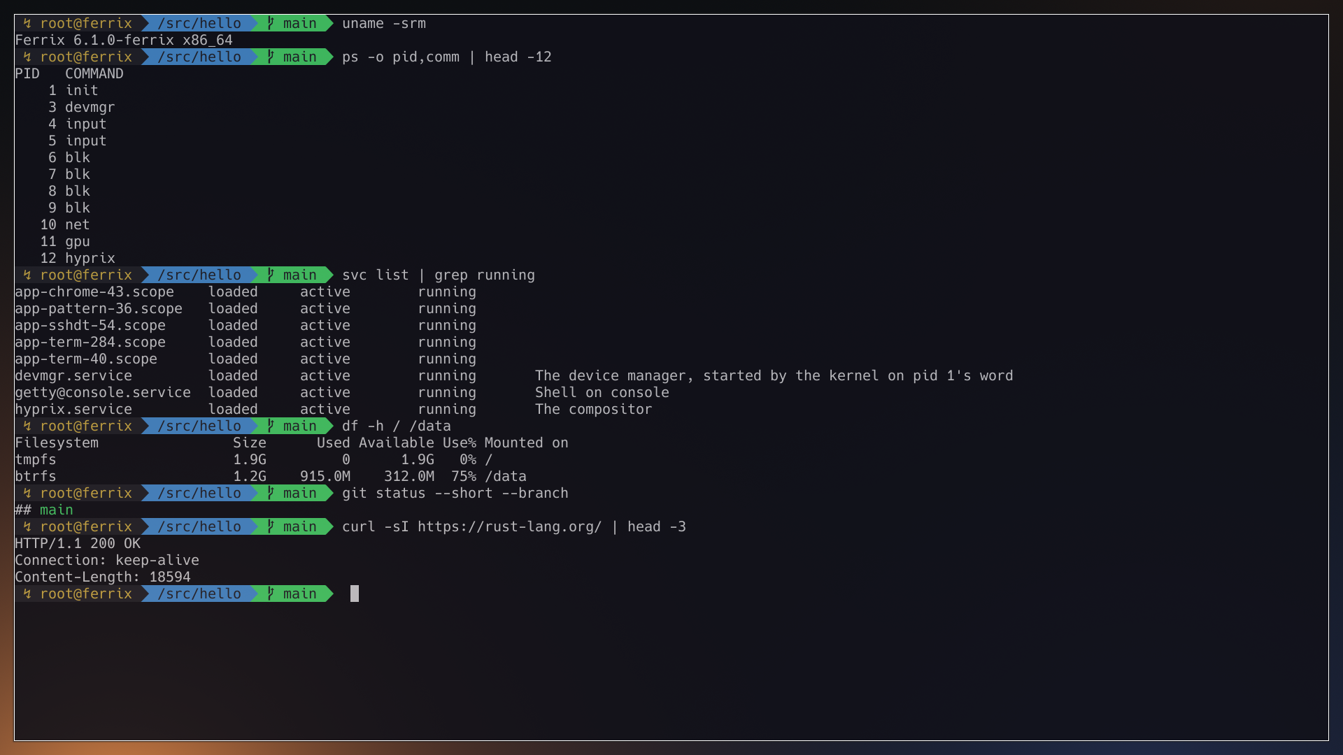 zinc with oh-my-zsh: uname, the ring-3 driver processes, svc, df and curl over HTTPS